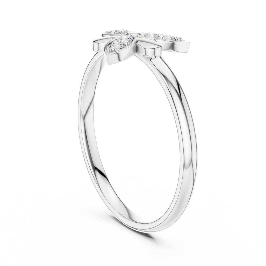 The Essential Ring