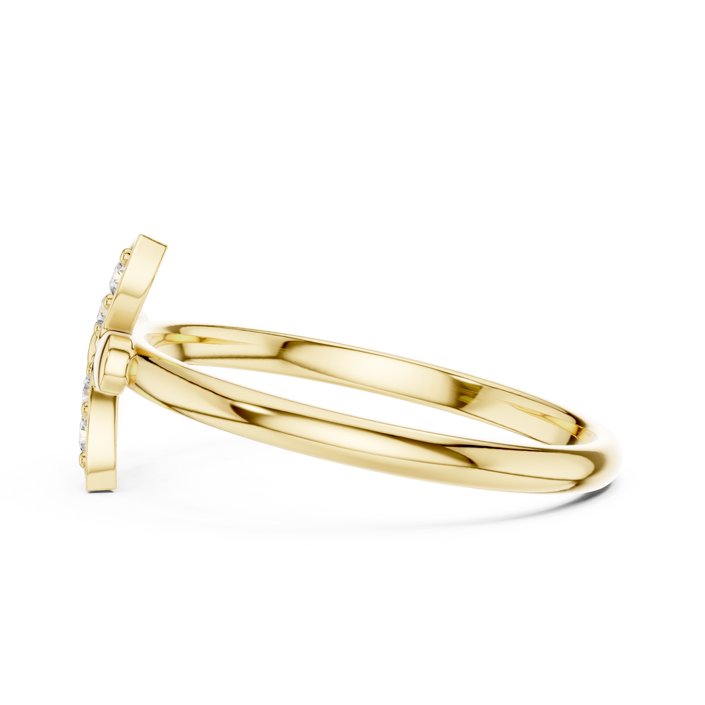 The Essential Ring