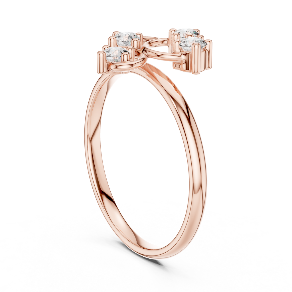 The Fancy Ring