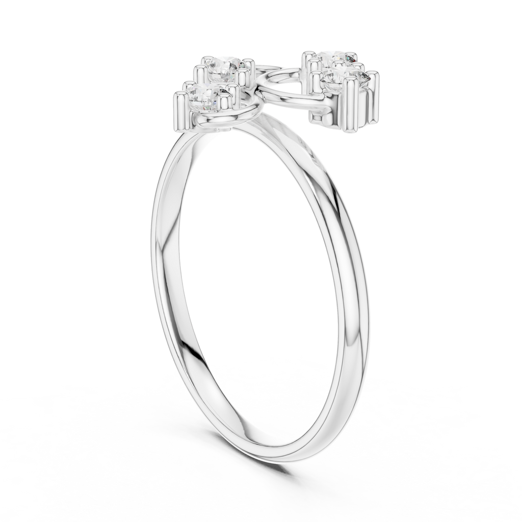The Fancy Ring