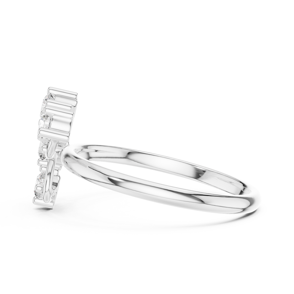 The Fancy Ring