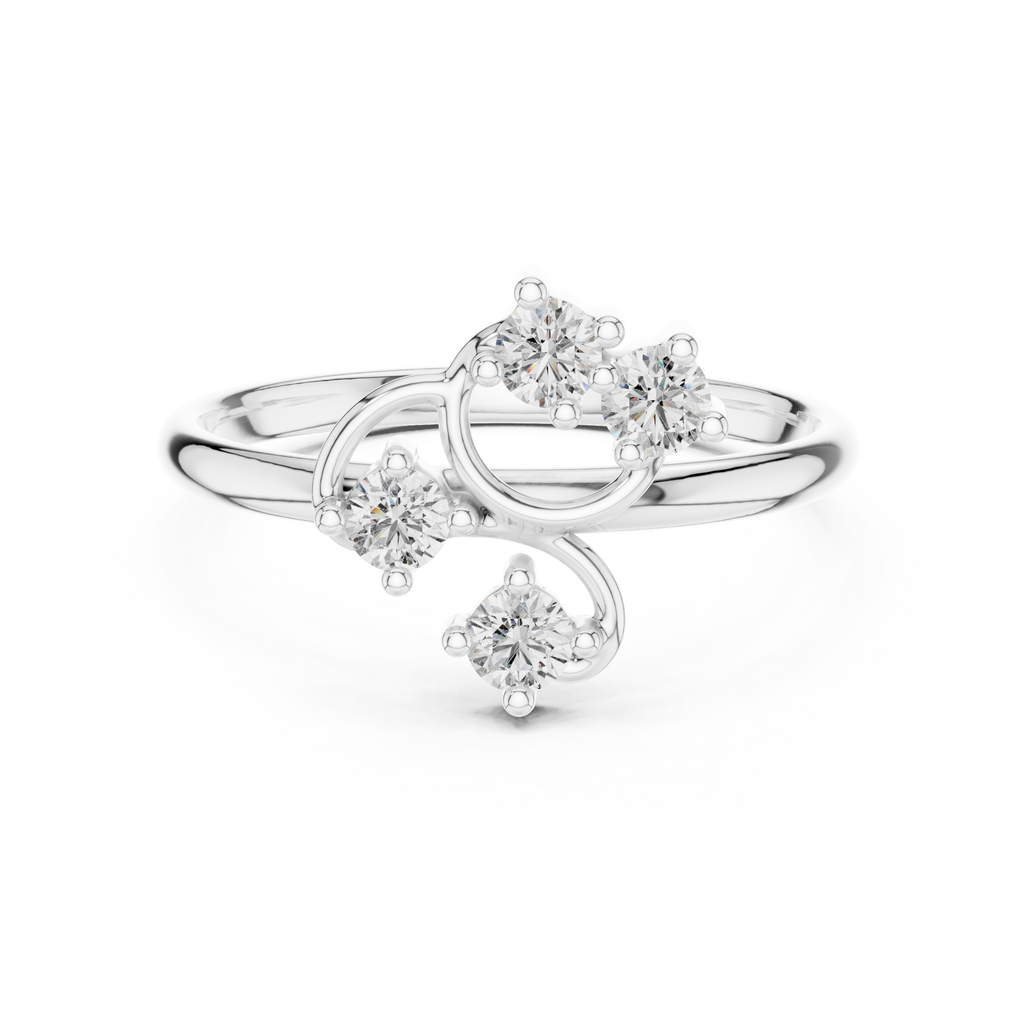 The Fancy Ring