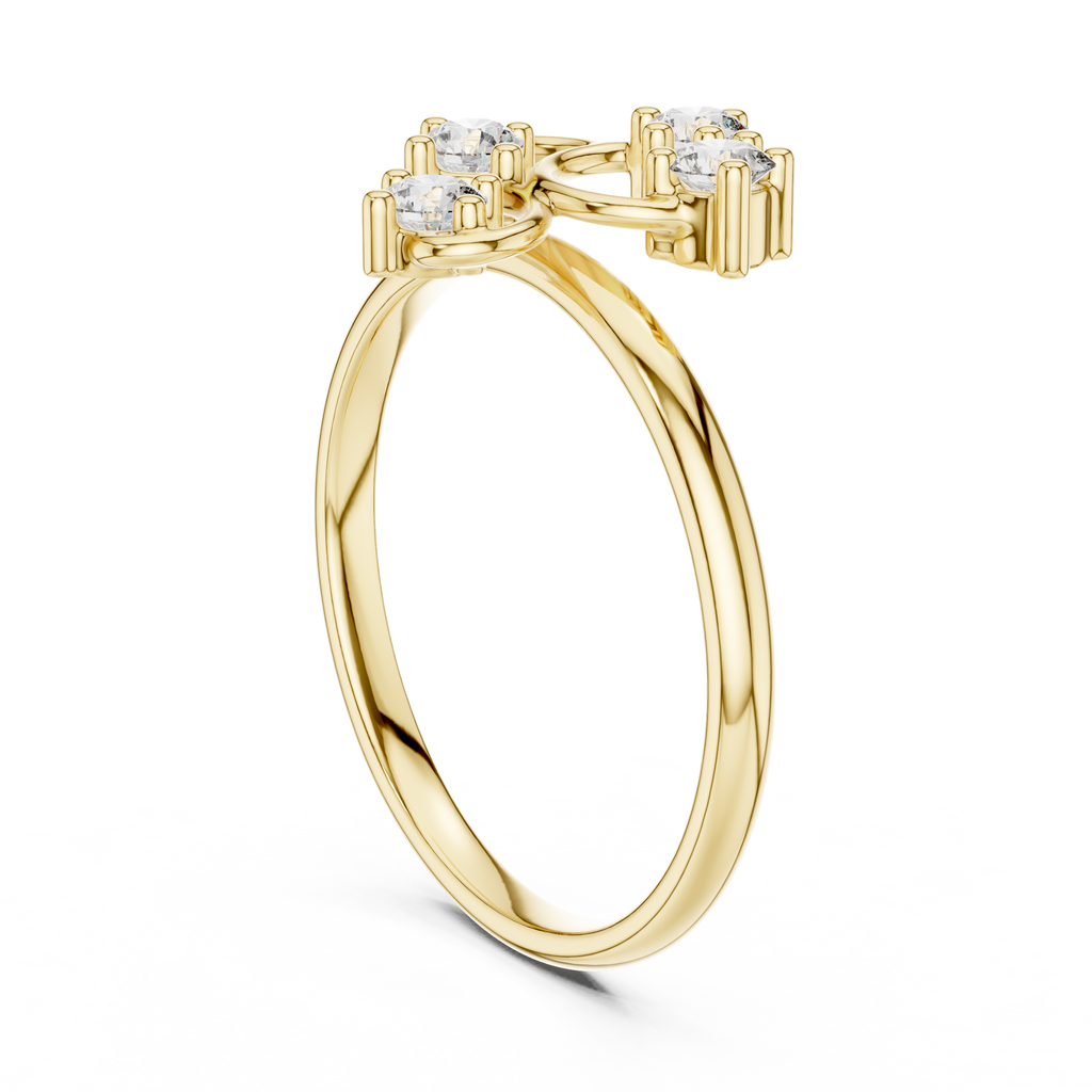The Fancy Ring