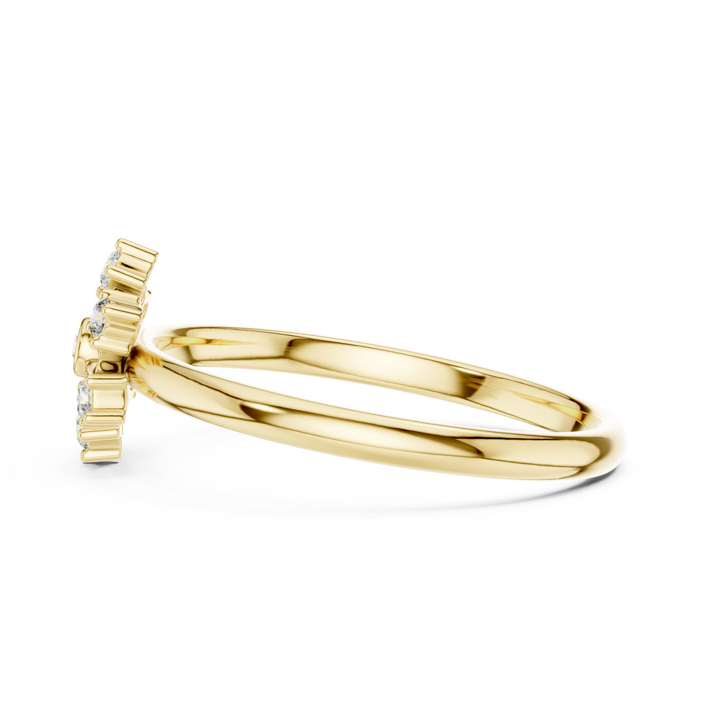 The Essential Ring