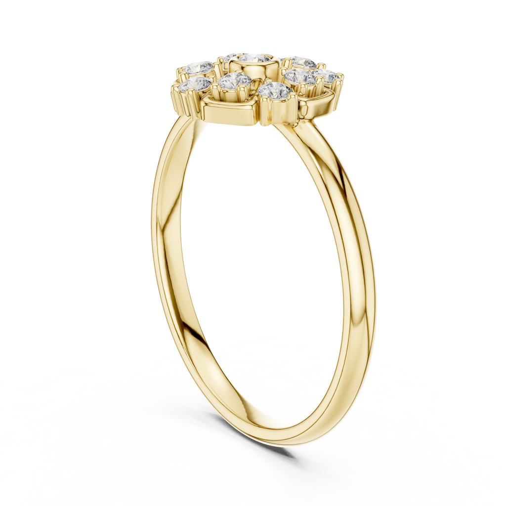 The Essential Ring