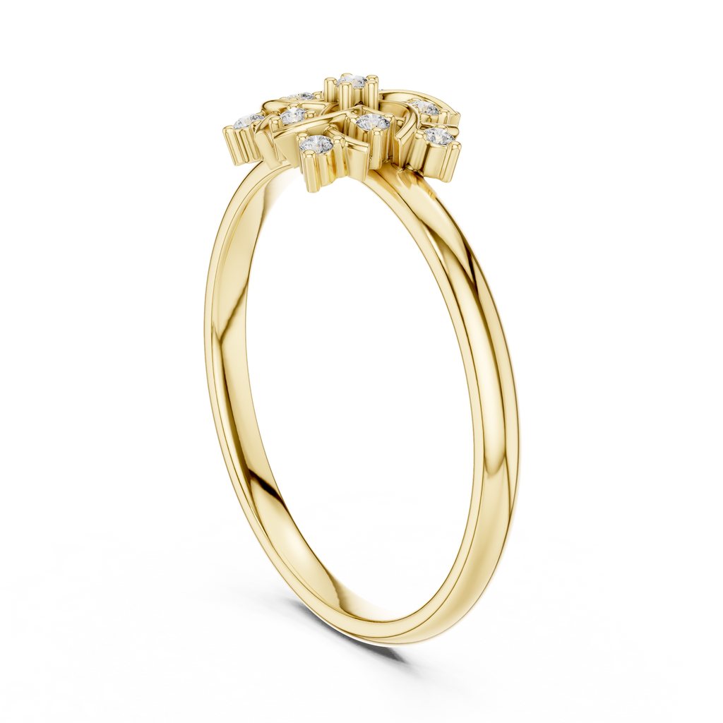 The Essential Ring