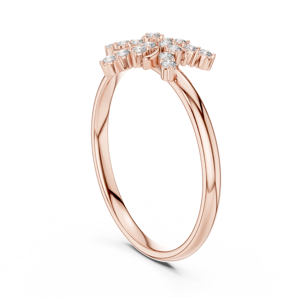 The Essential Ring