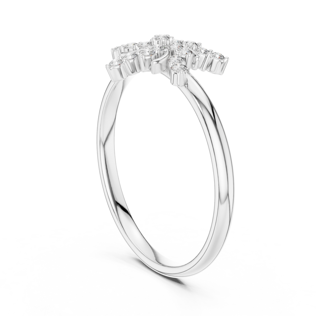 The Essential Ring
