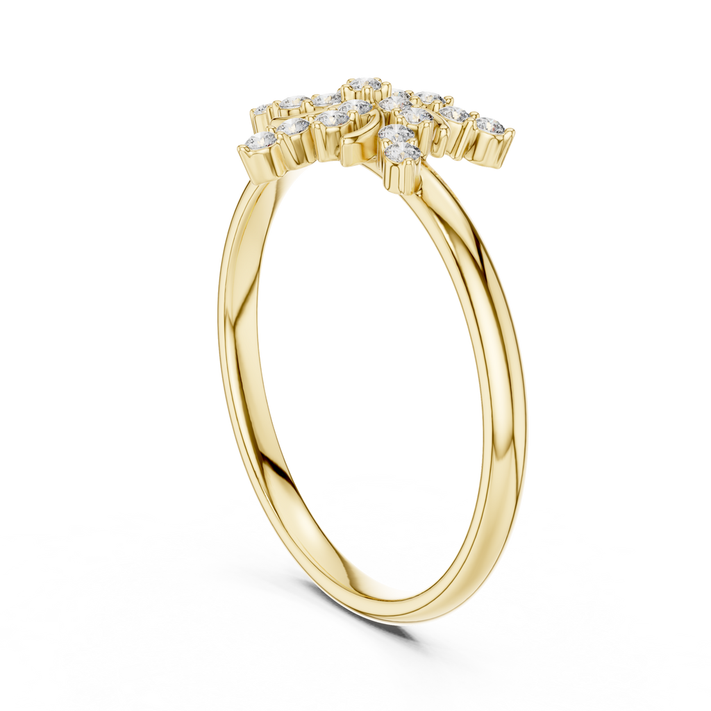 The Essential Ring