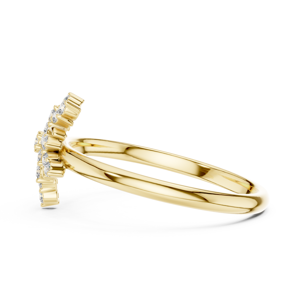 The Essential Ring