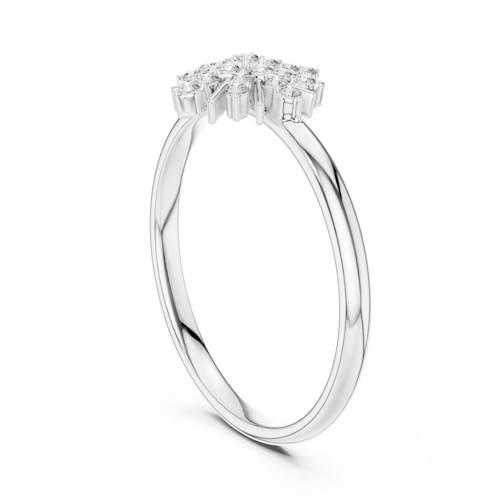 The Essential Ring