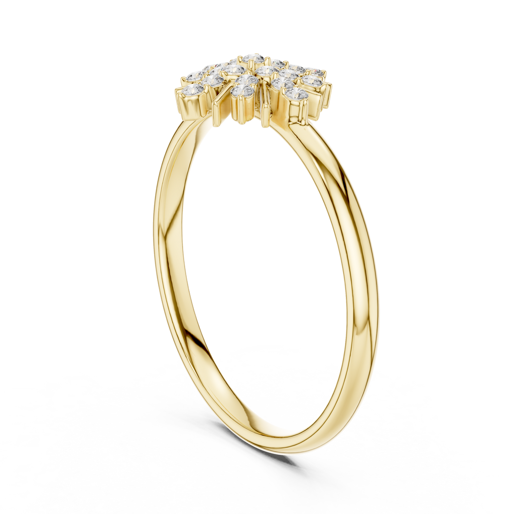 The Essential Ring