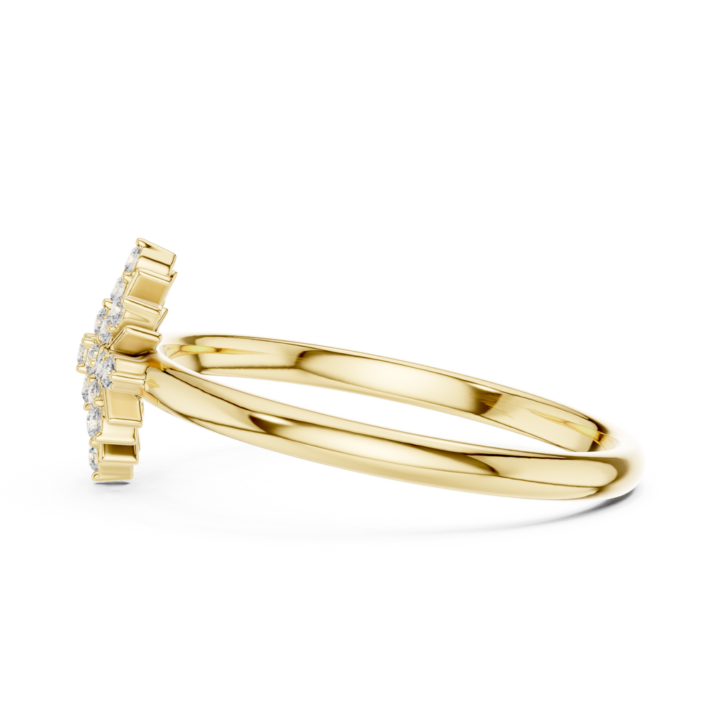 The Essential Ring