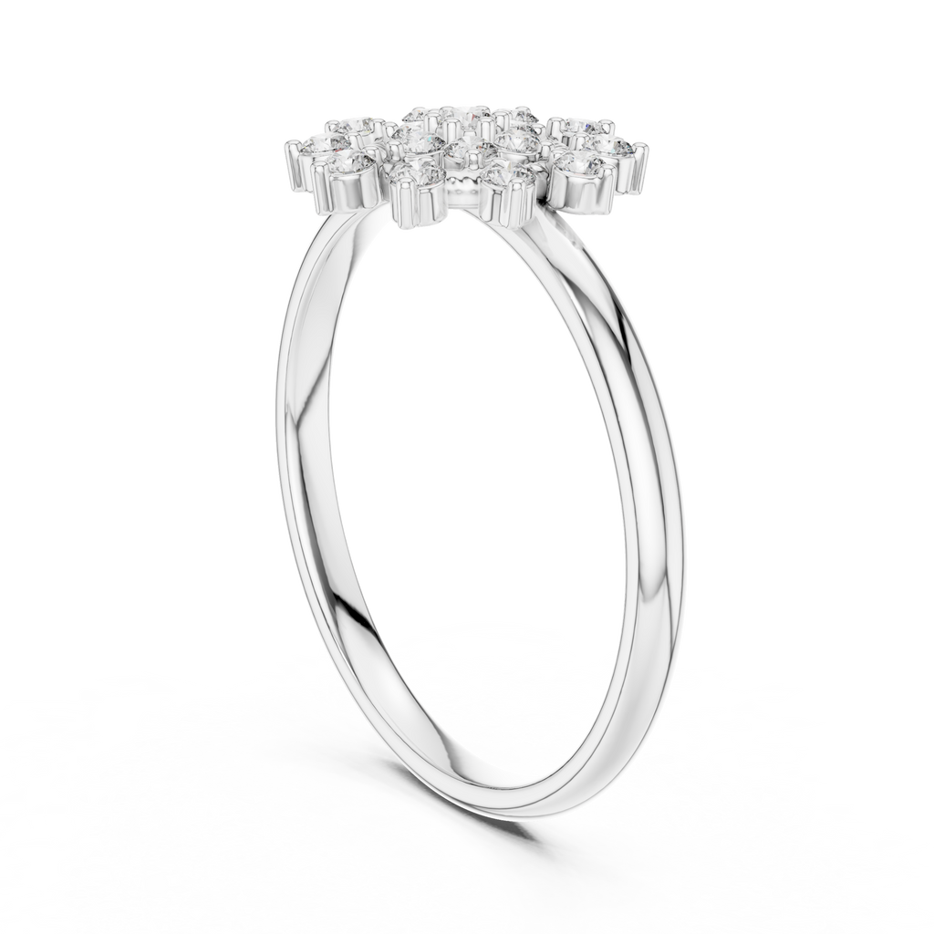 The Essential Ring