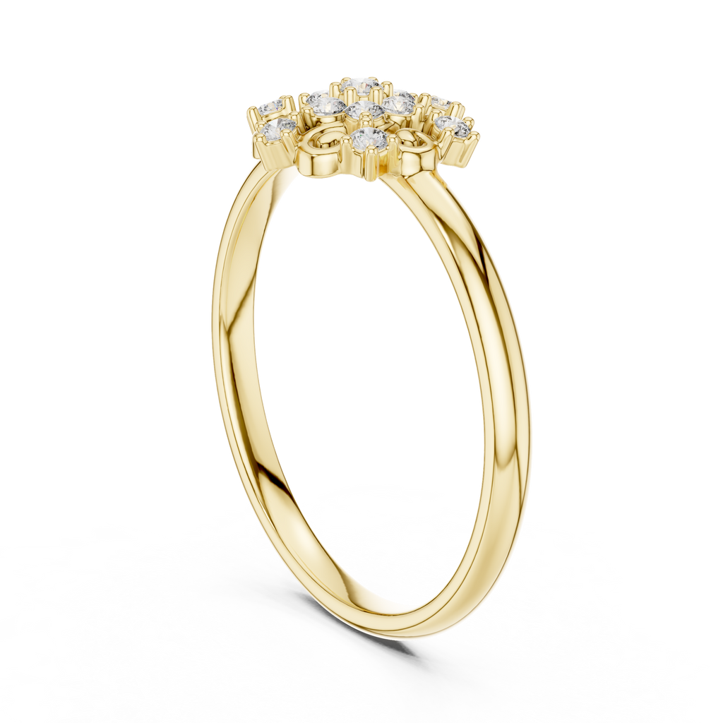 The Essential Ring
