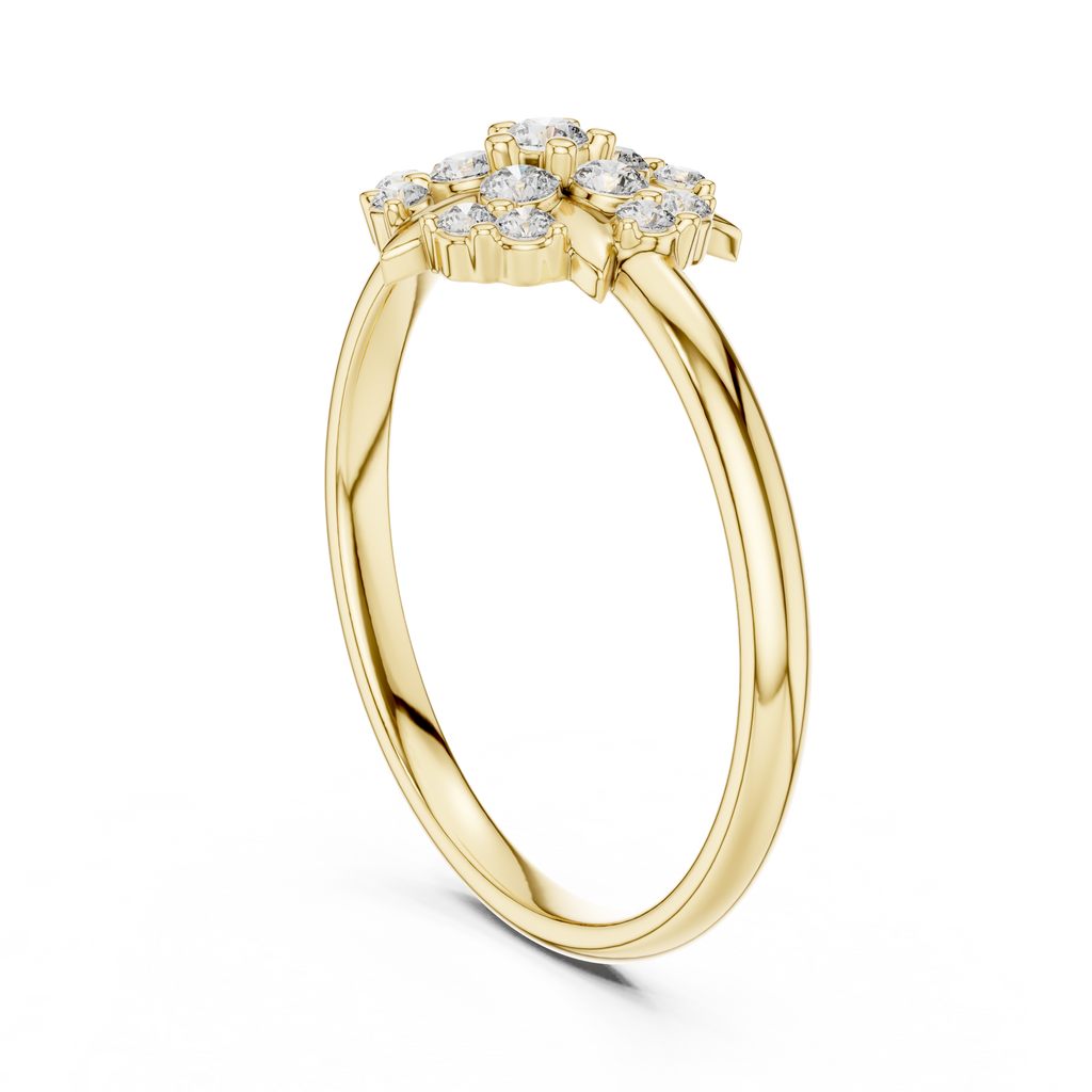 The Essential Ring