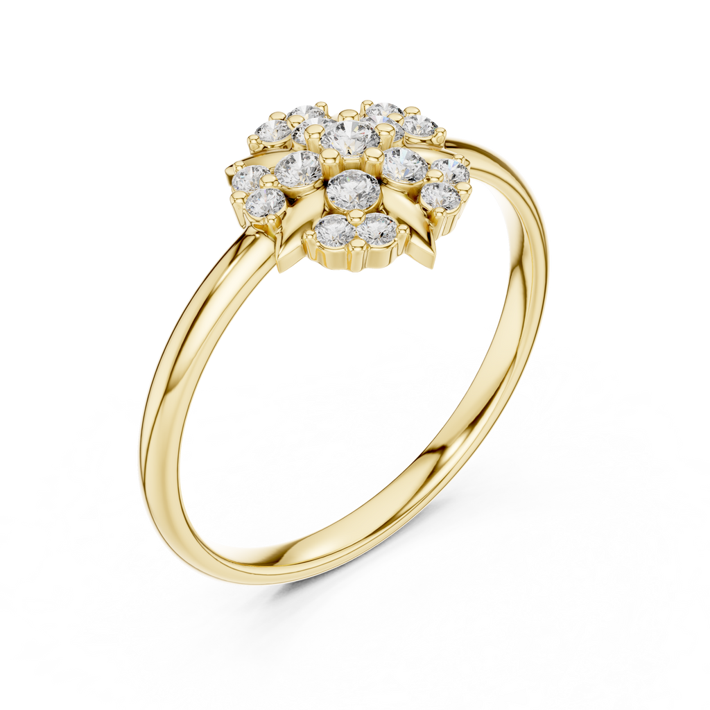 The Essential Ring