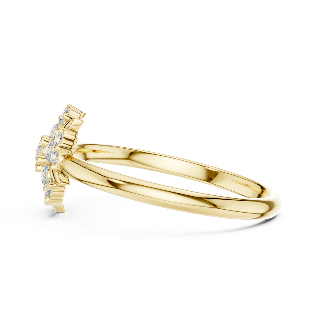The Essential Ring