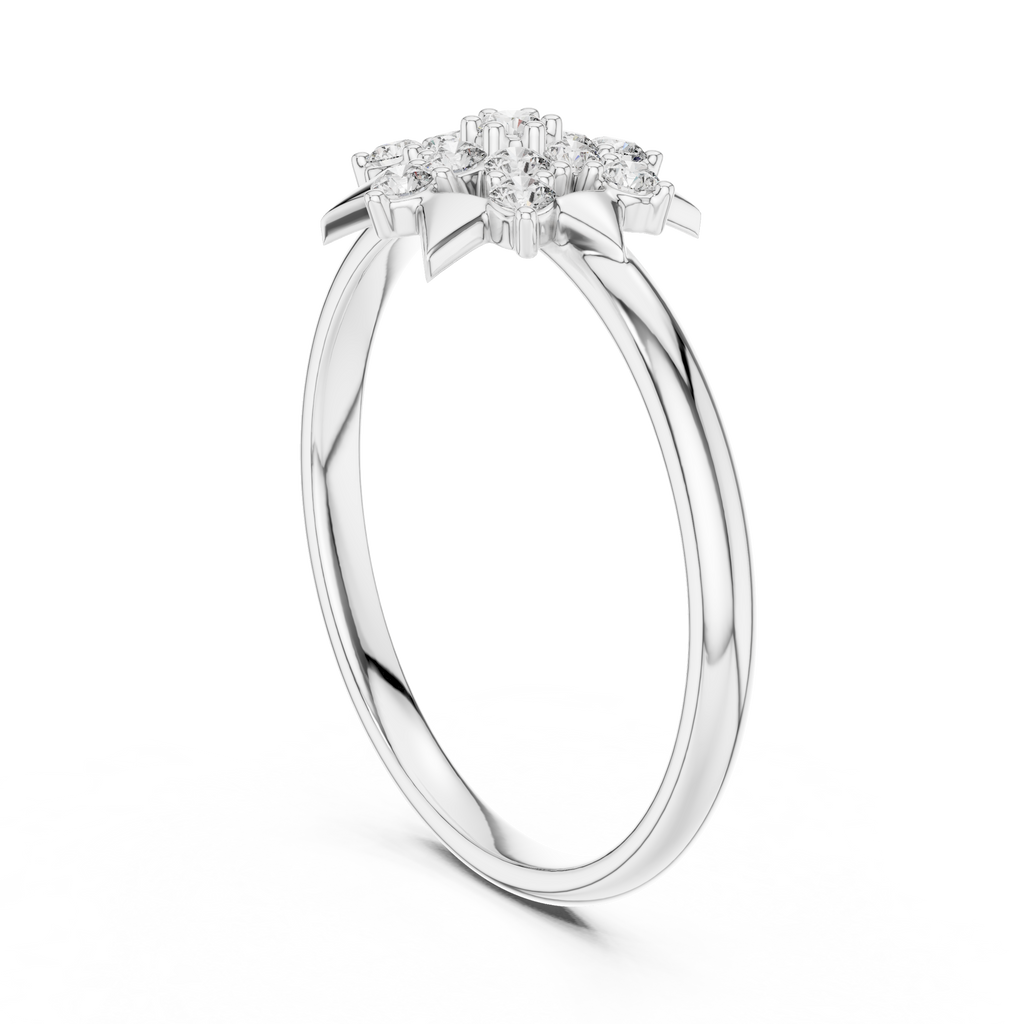 The Essential Ring