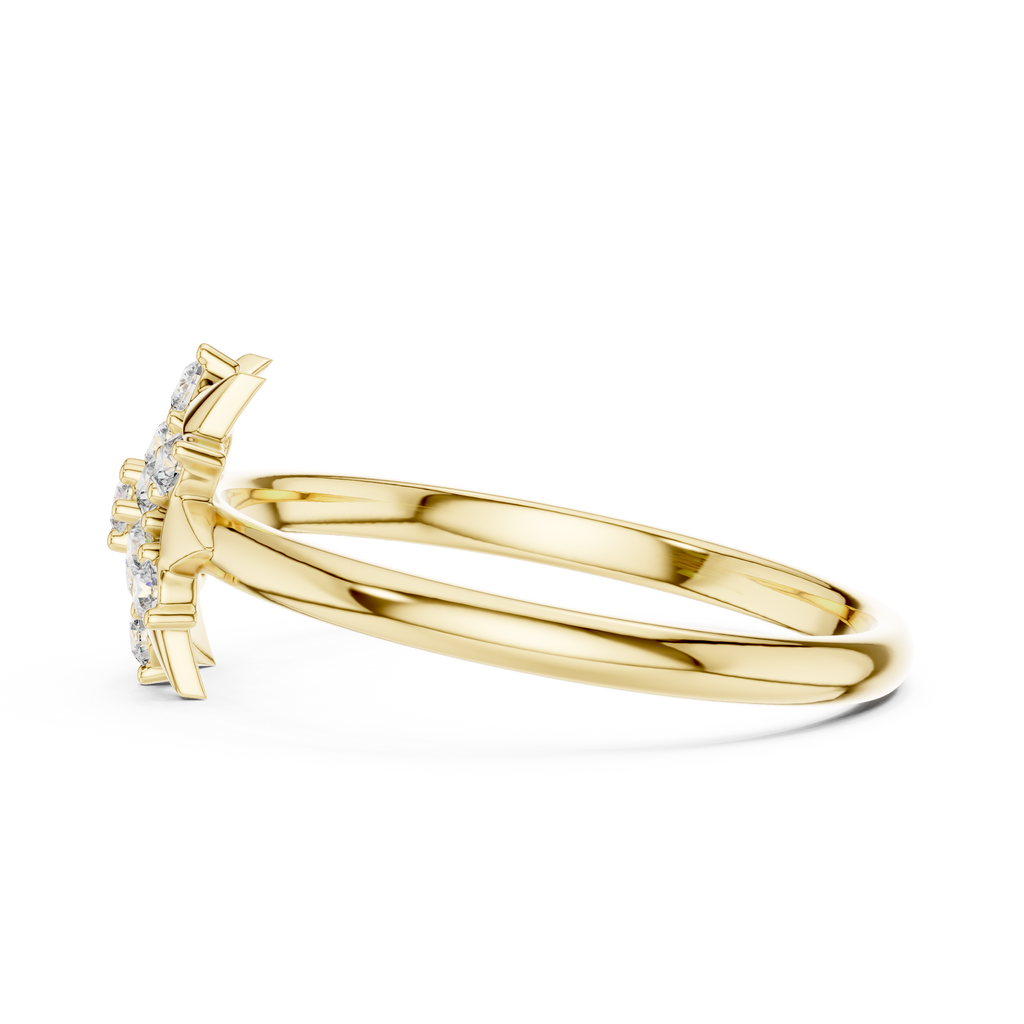The Essential Ring