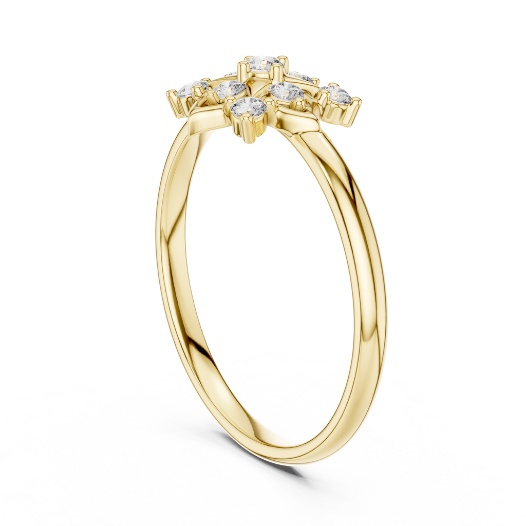 The Essential Ring