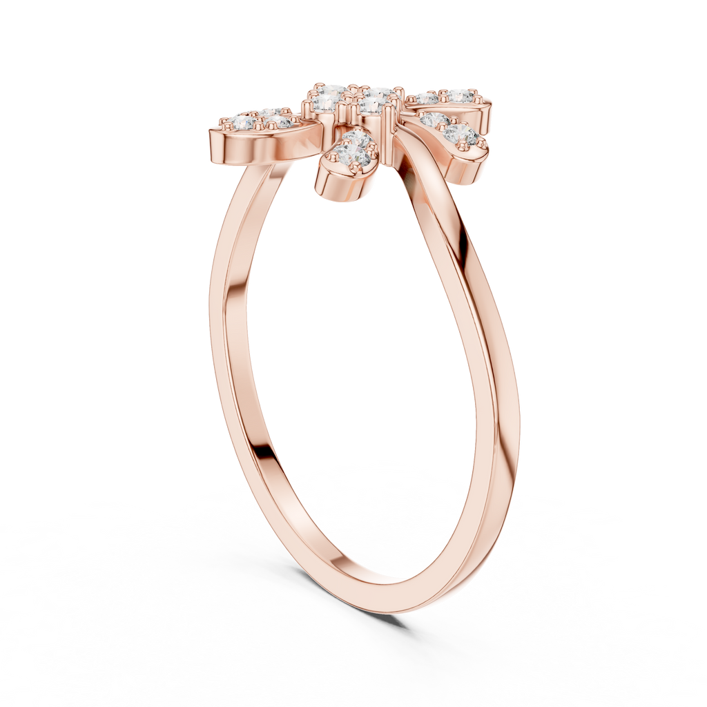 The Essential Ring