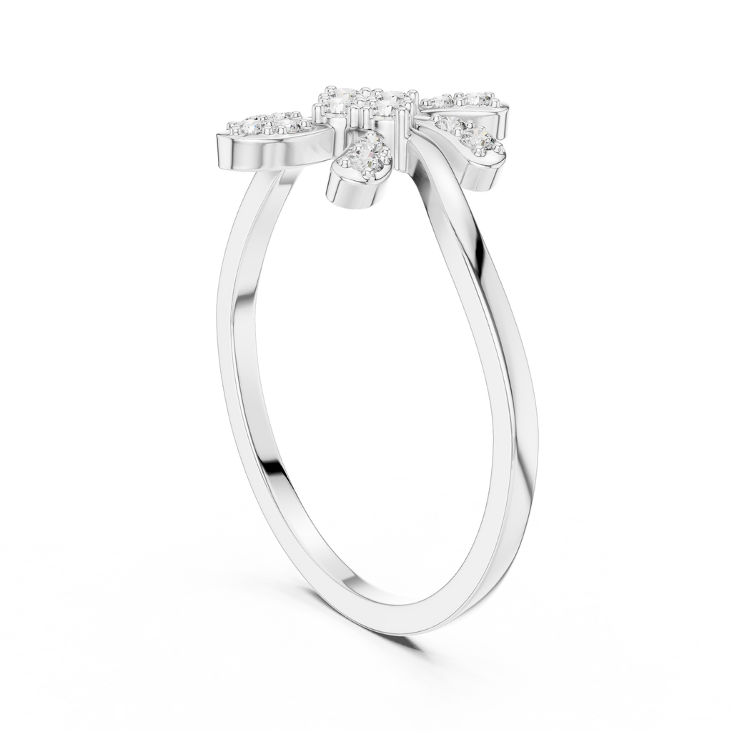 The Essential Ring