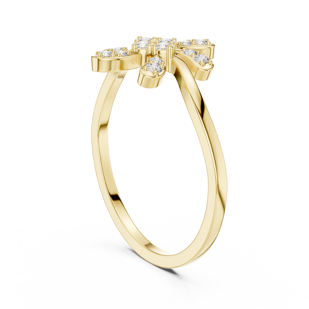The Essential Ring