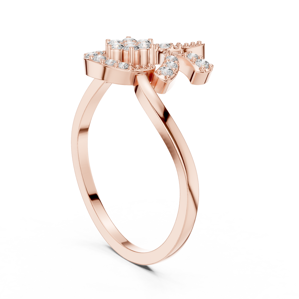 The Fancy Ring