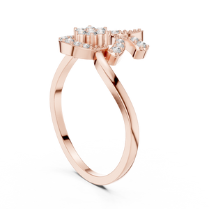 The Fancy Ring