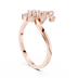 The Fancy Ring