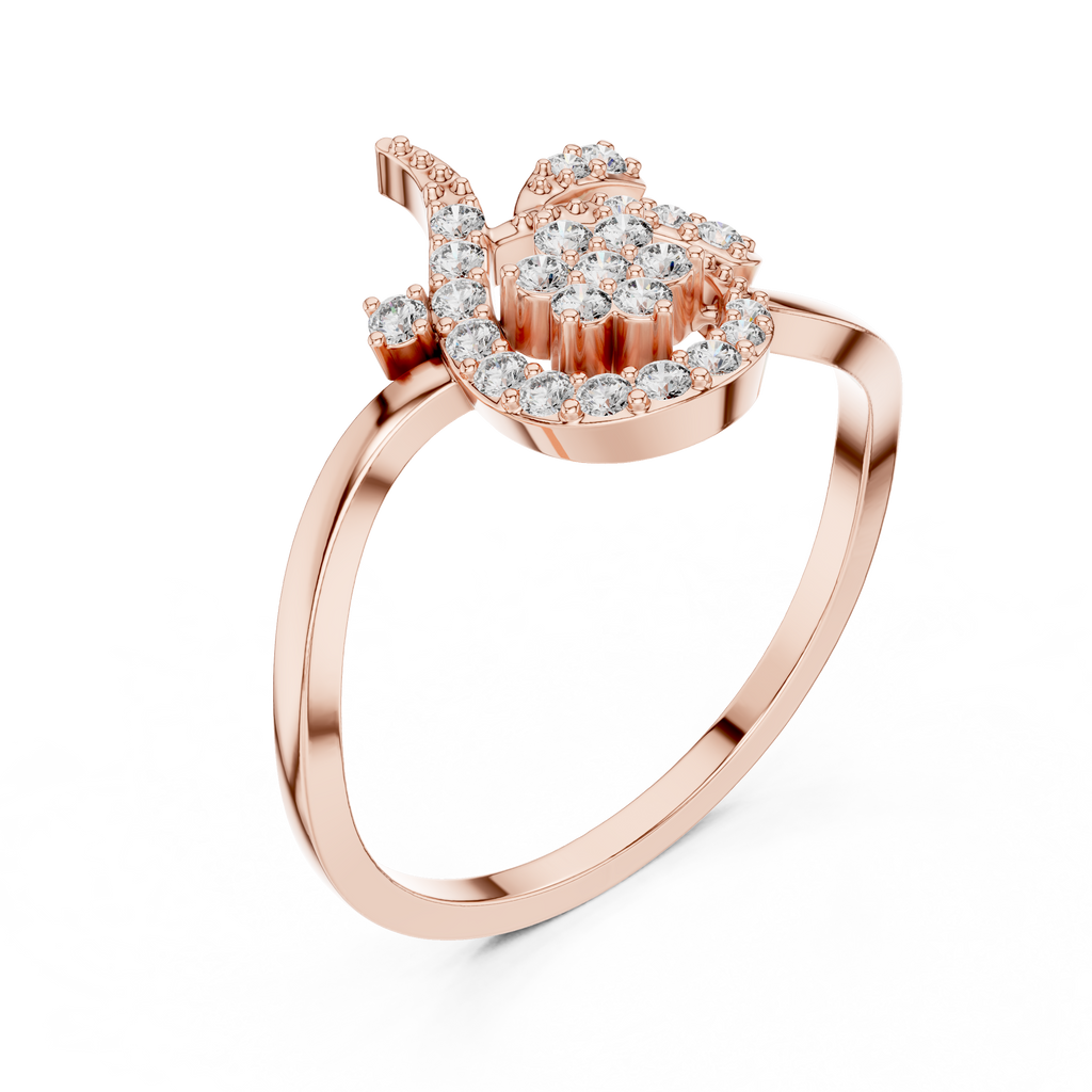 The Fancy Ring