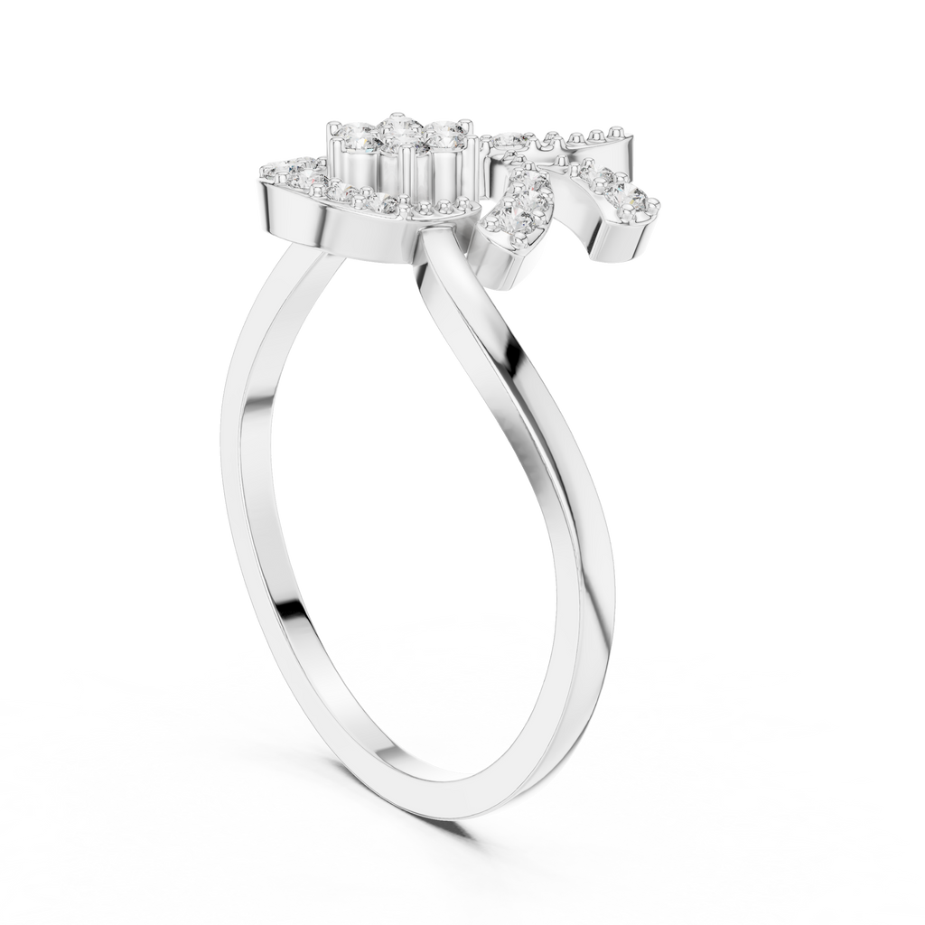 The Fancy Ring