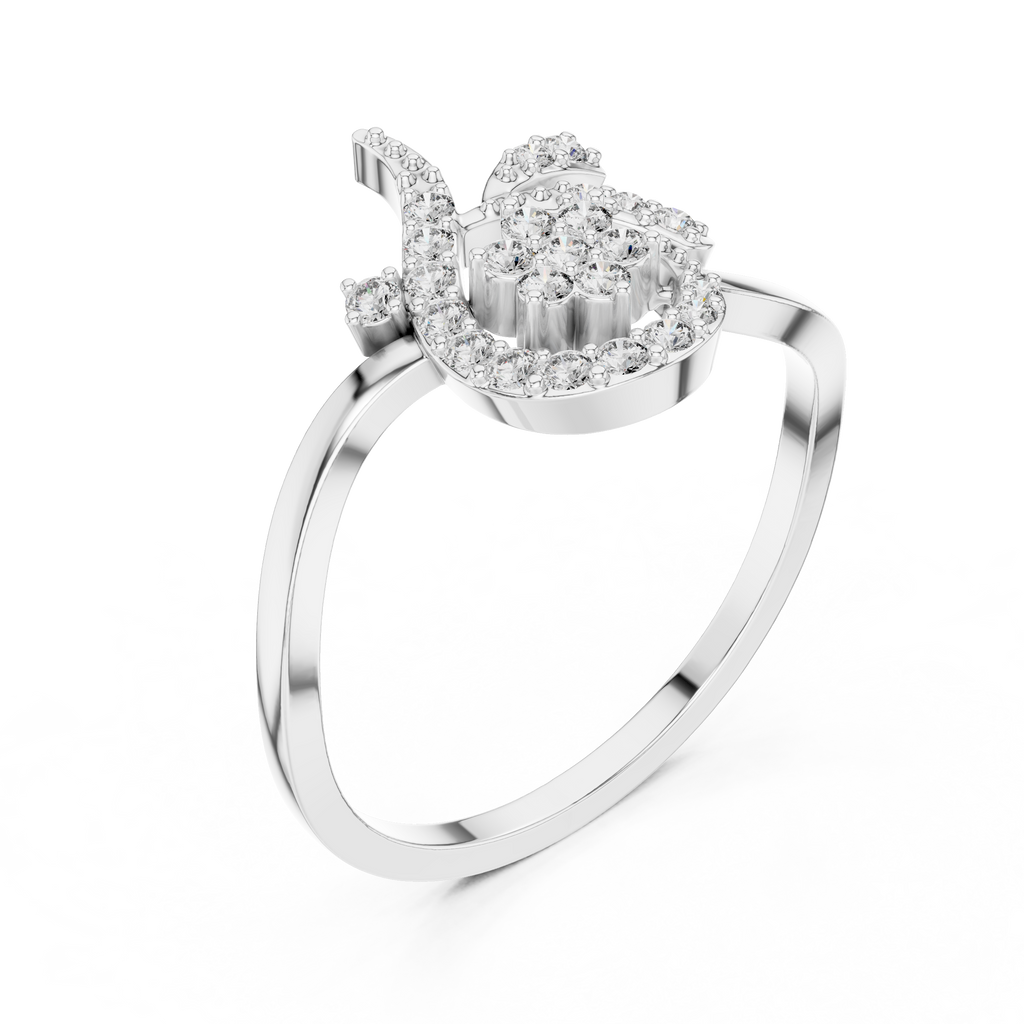 The Fancy Ring