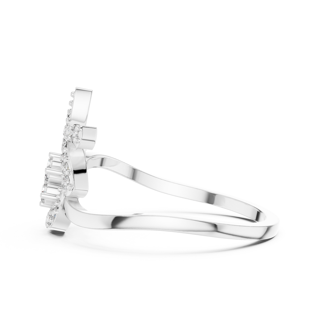 The Fancy Ring