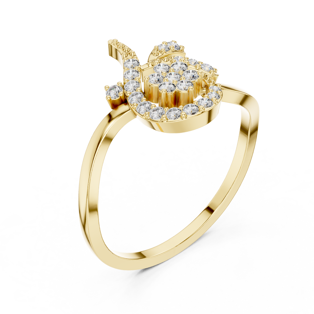 The Fancy Ring