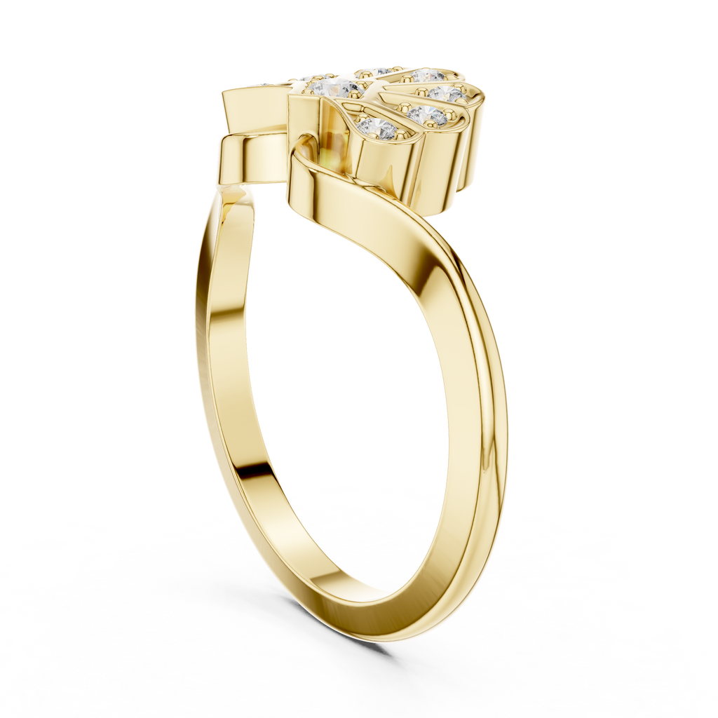 The Essential Ring