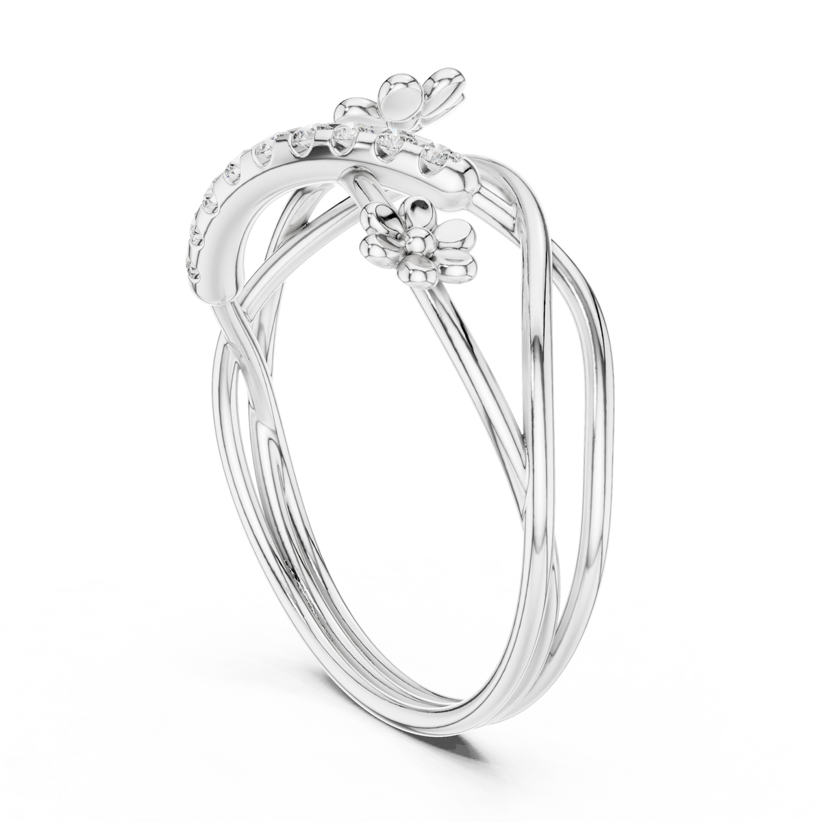 The Fancy Ring