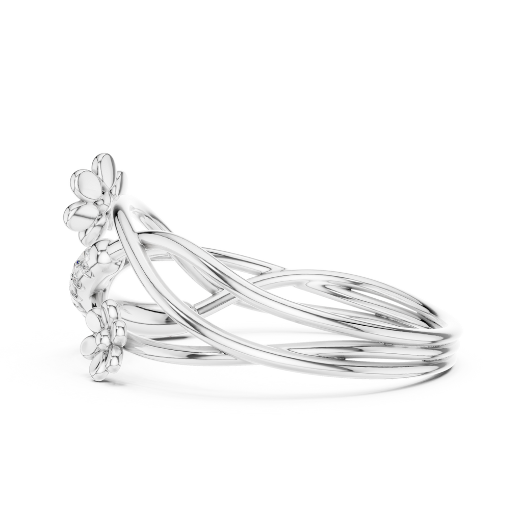 The Fancy Ring