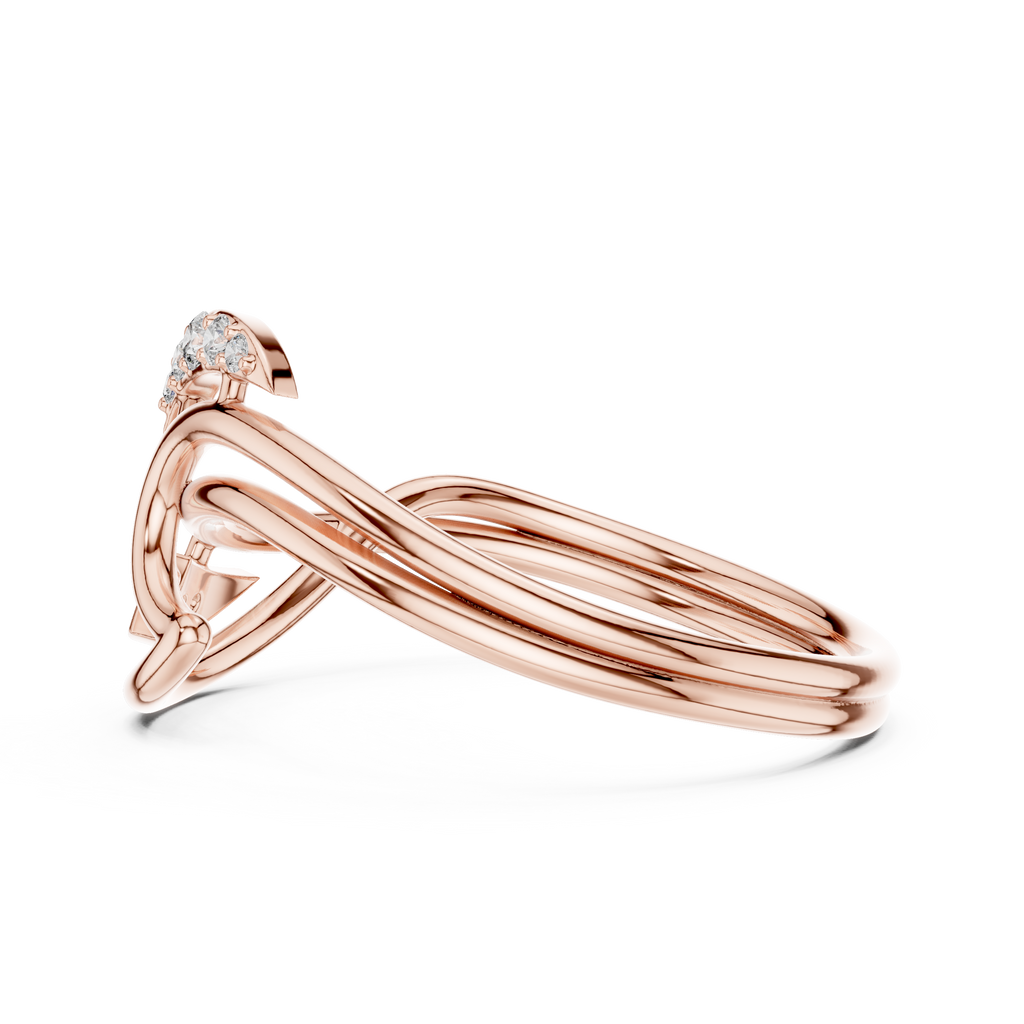 The Fancy Ring
