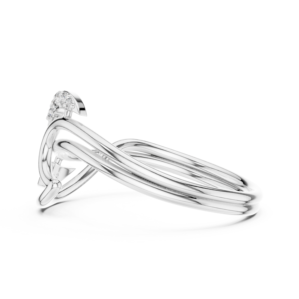 The Fancy Ring