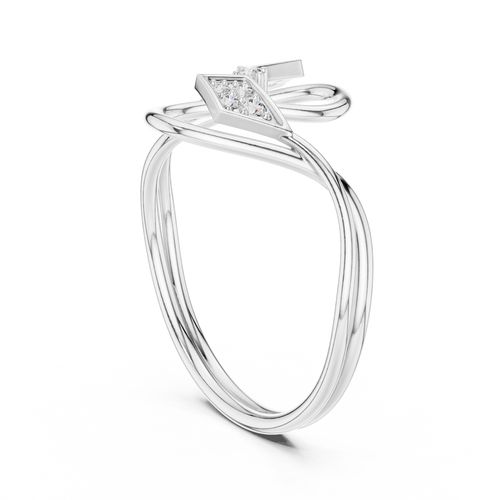 The Fancy Ring