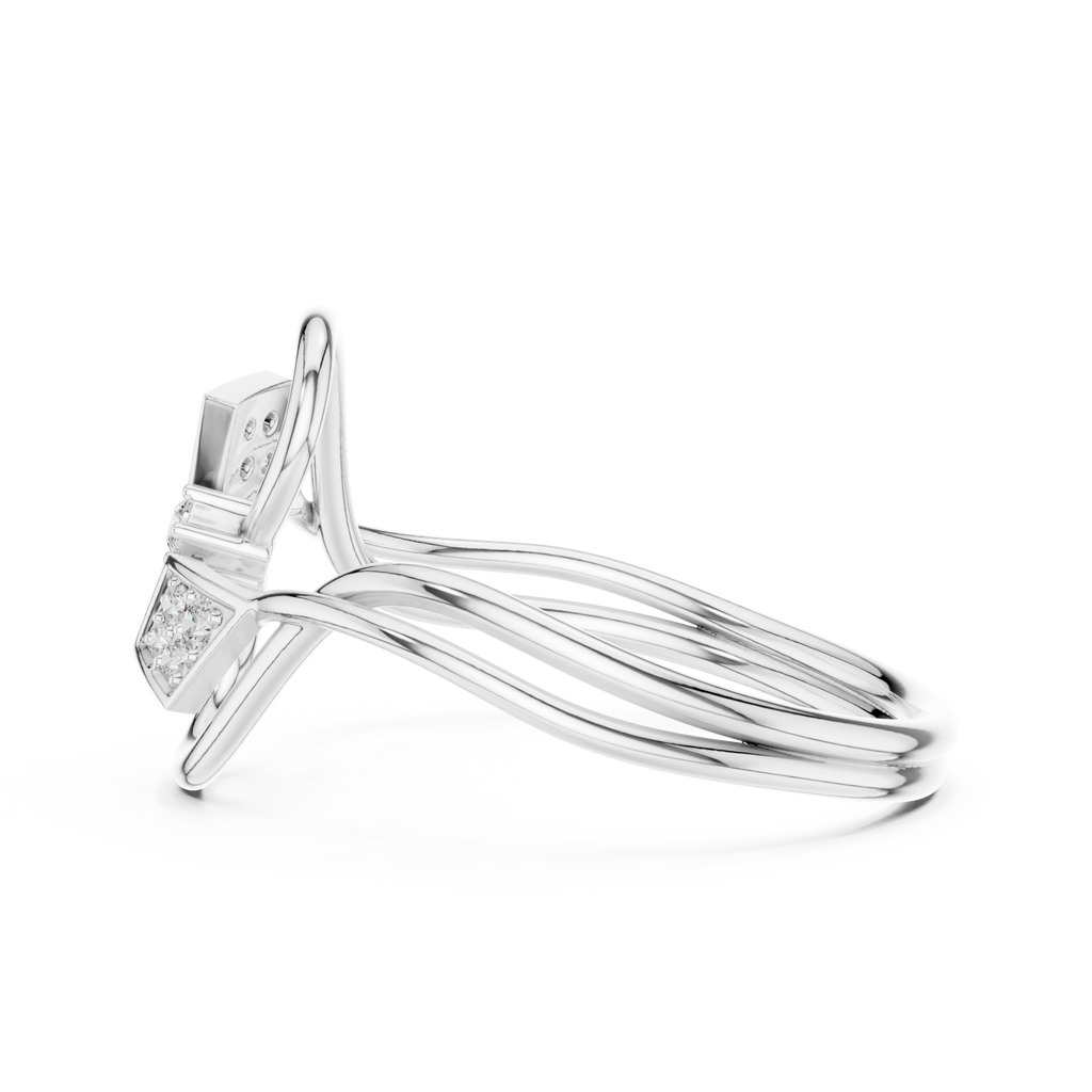 The Fancy Ring