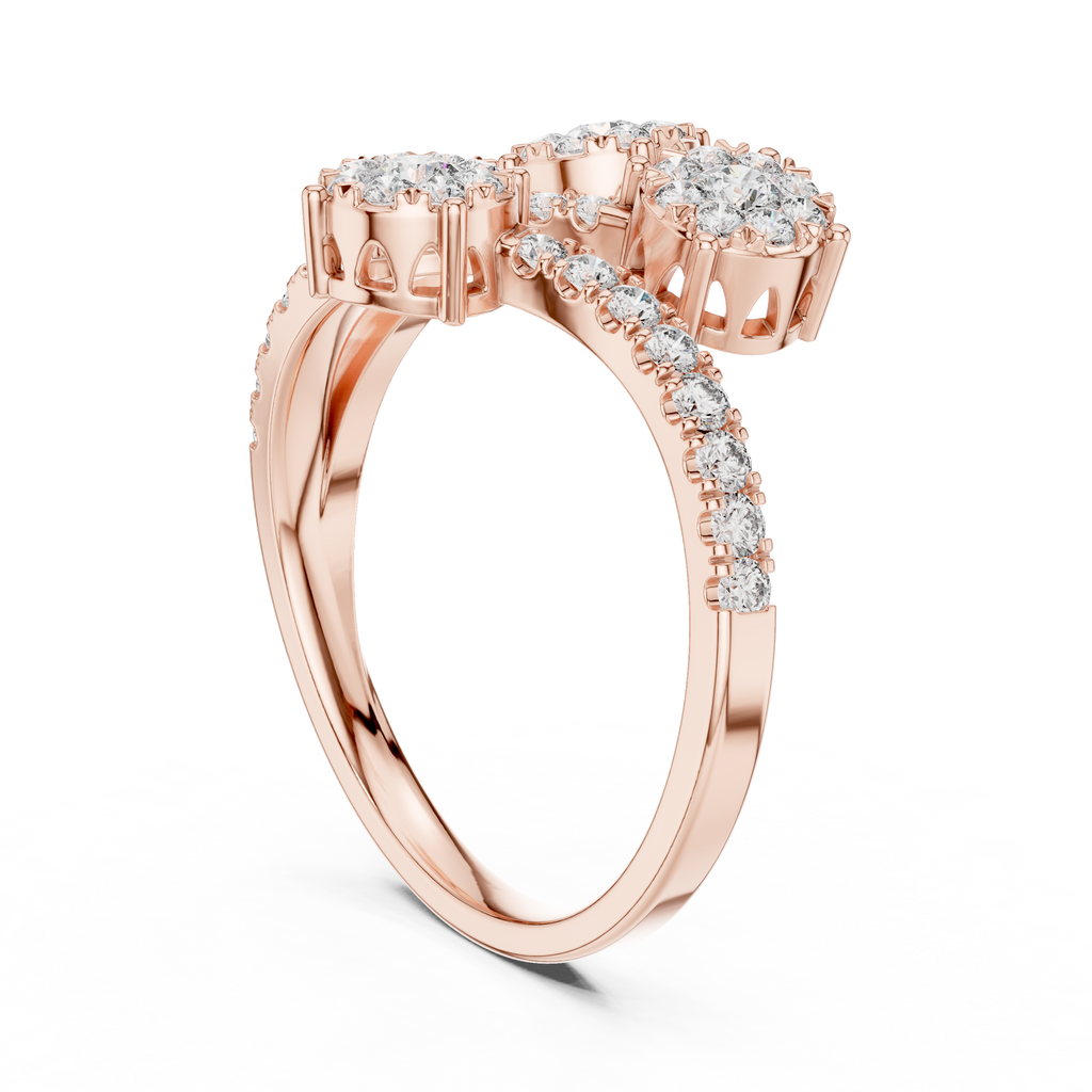 The Fancy Ring