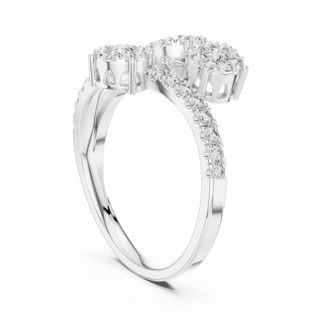 The Fancy Ring