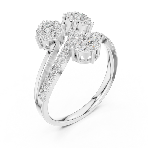 The Fancy Ring