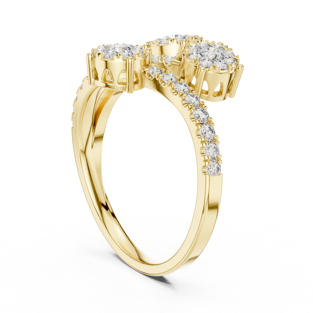 The Fancy Ring