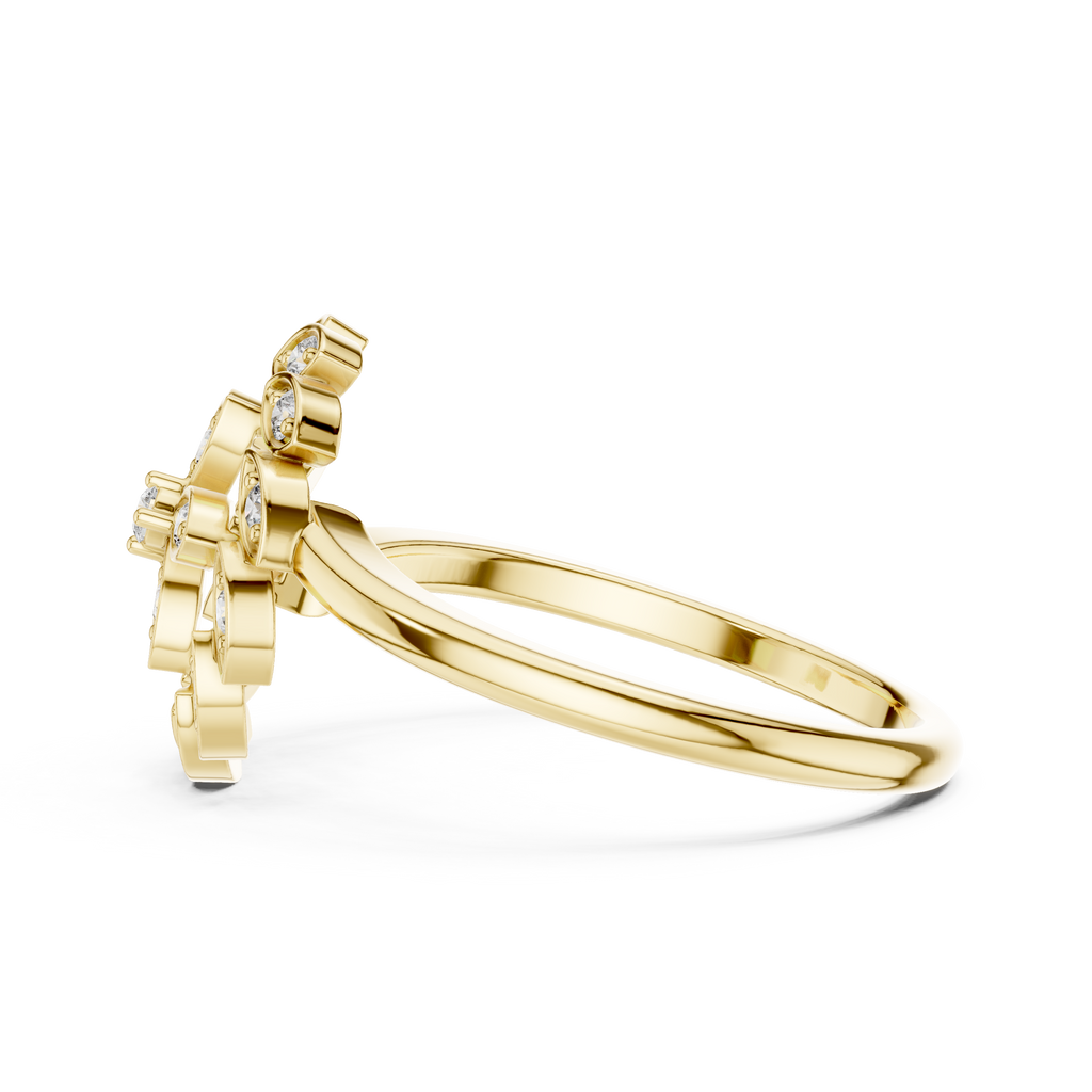 The Essential Ring