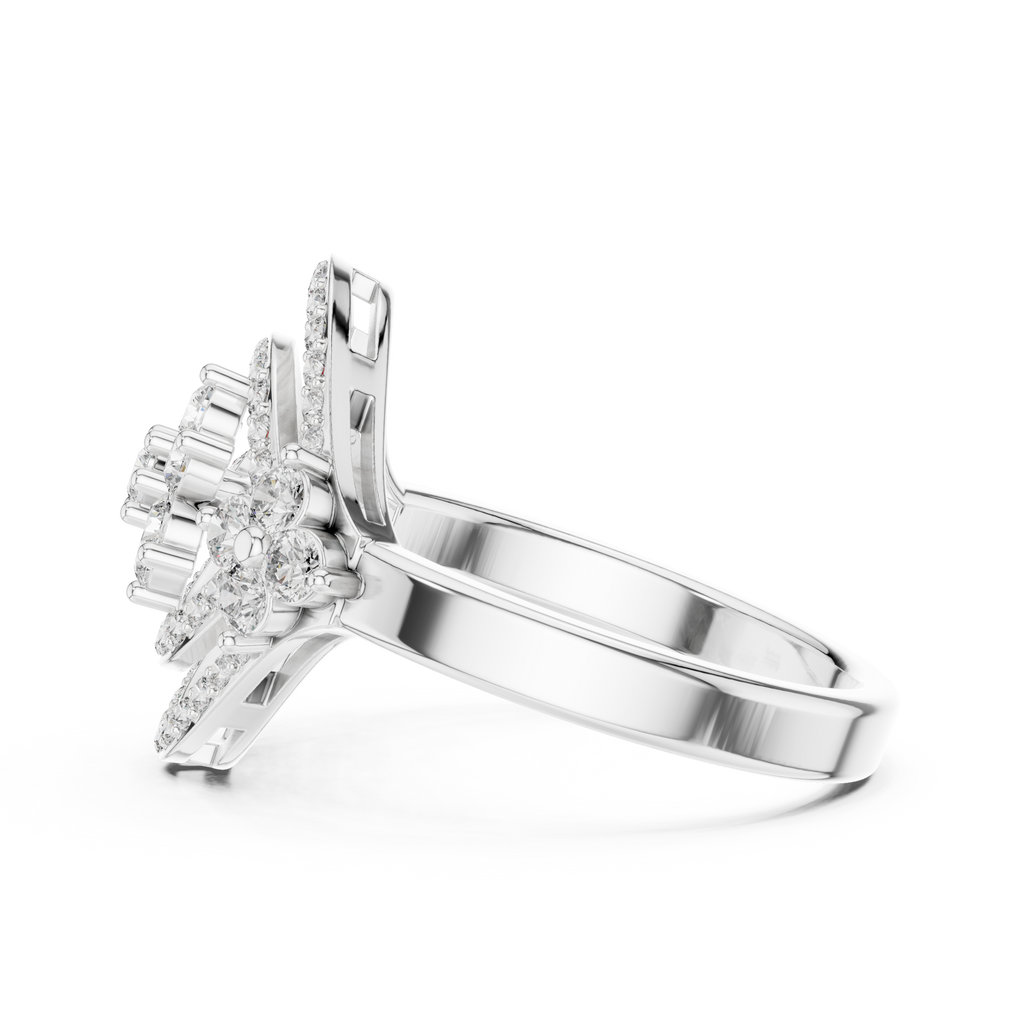 The Fancy Ring