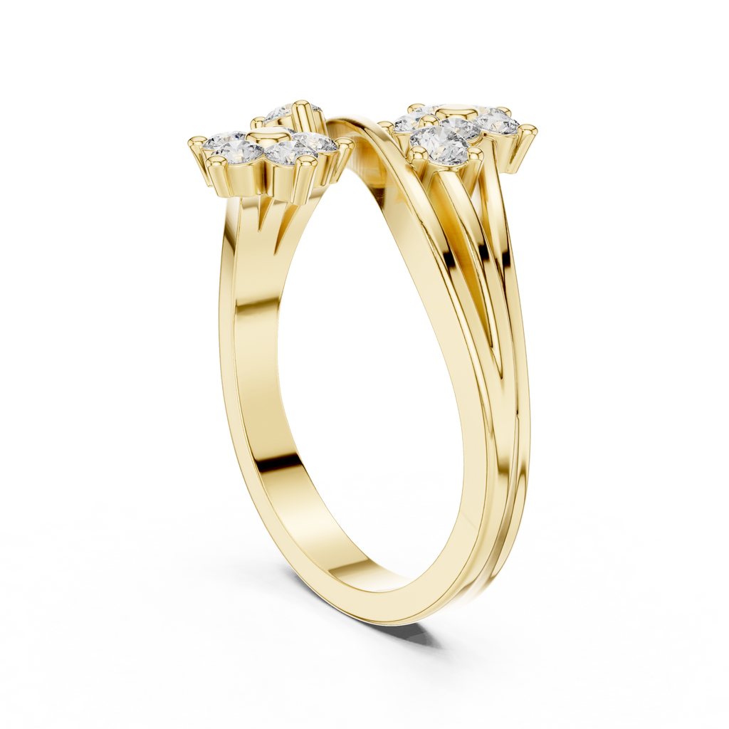 The Essential Ring